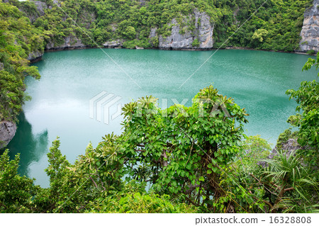 lagoon 16328808