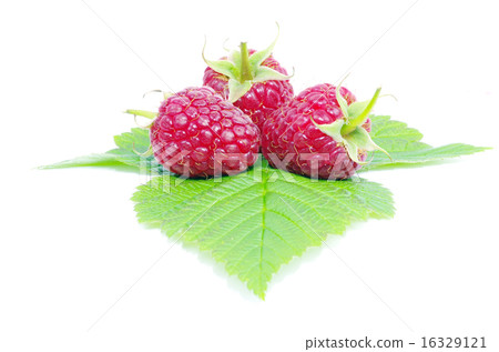 raspberry raspberry 16329121