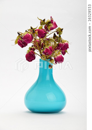 Dried-up red roses in blue vase isolated on white Dried-up red roses in blue vase isolated on white 16329553