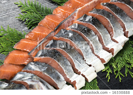 三文魚 三文魚 16330888