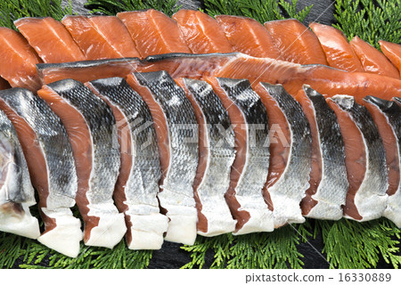 三文魚 三文魚 16330889