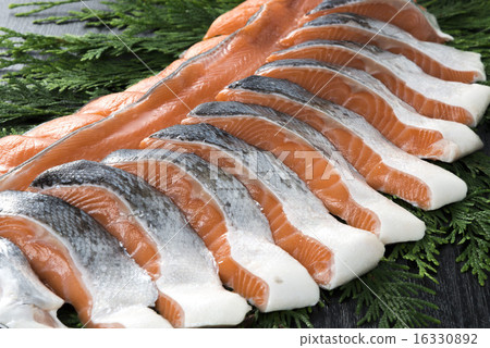 salmon  16330892