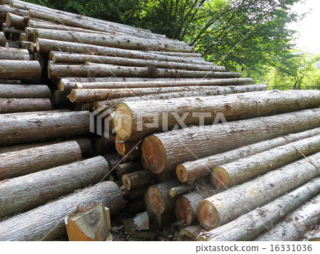 Pile of logs Pile of logs 16331036