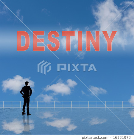 Destiny 16331973