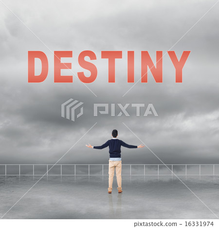 Destiny Destiny 16331974