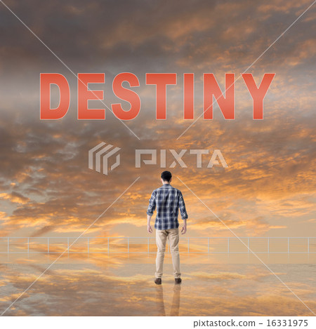 Destiny Destiny 16331975