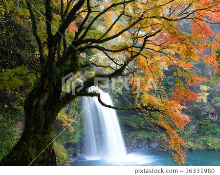 秋天的慈善秋天 16331980