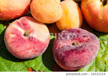 Fig peach 16332314