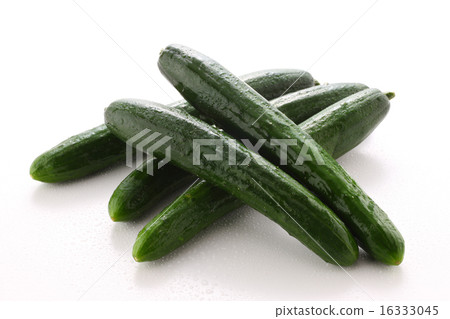 Cucumber 16333045