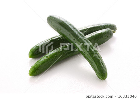 Cucumber 16333046