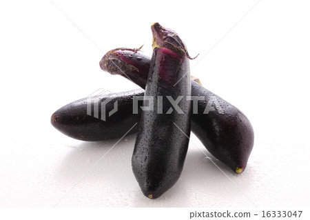 eggplant  16333047