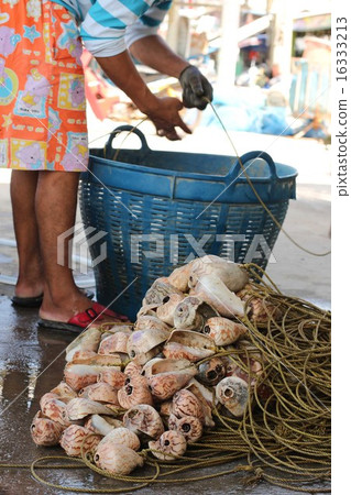 Shell rope and fisherman Shell rope and fisherman 16333213
