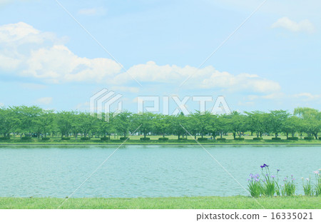 初夏的Mizumoto公園 16335021