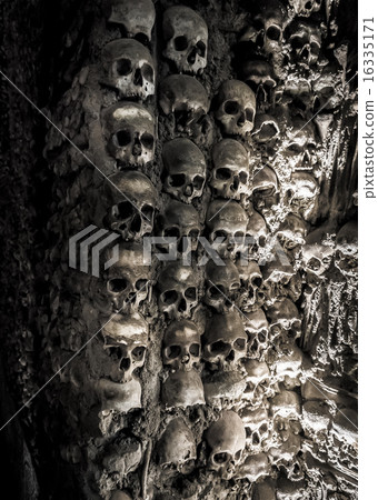 Wall full of skulls and bones 16335171