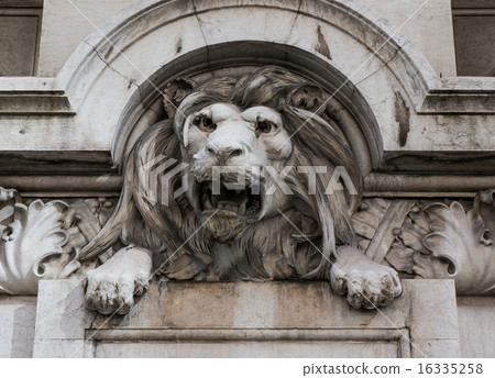 Stone lion 16335258
