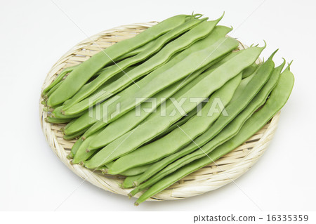 摩洛哥豆在猴子服務 16335359