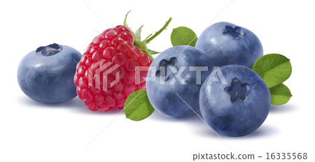 Forest berriescompositon isolated on white  16335568