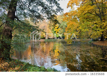 Lazienki Park in Warsaw Lazienki Park in Warsaw 16335688