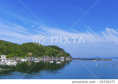 Farmed Ukada Ukaumi Farmed Ukada Ukaumi 16336271