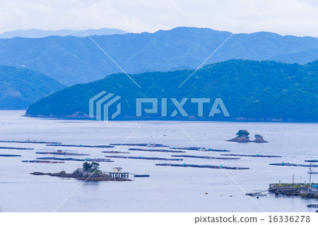 Farmed Ukada Ukaumi Farmed Ukada Ukaumi 16336278