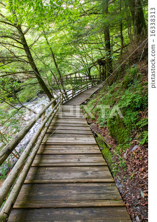 德島縣Oku Iya Double Kazura Bridge Promenade 德島縣Oku Iya Double Kazura Bridge Promenade 16338313