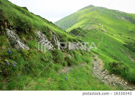 Beautiful landscape Beautiful landscape 16338343