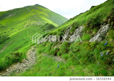 Beautiful landscape Beautiful landscape 16338344