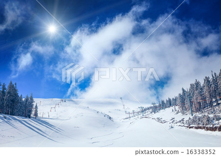 WInter Landscape WInter Landscape 16338352