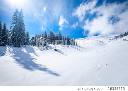 WInter Landscape WInter Landscape 16338353