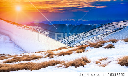 WInter Landscape WInter Landscape 16338562