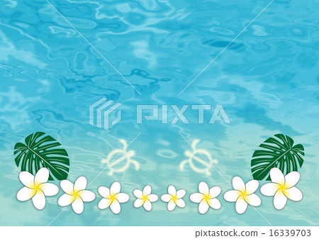 Monstera&Plumeria&Honu Monstera&Plumeria&Honu 16339703
