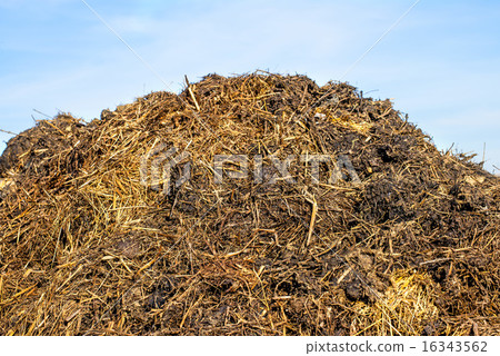 dung hill 16343562