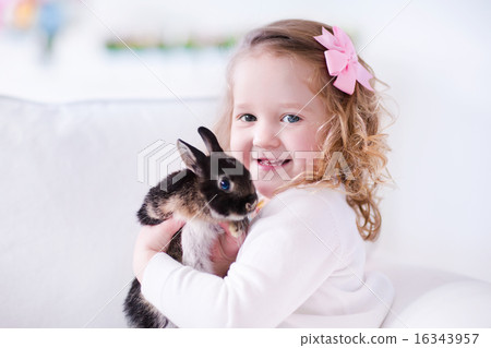Little girl playing with a real pet rabbit Little girl playing with a real pet rabbit 16343957