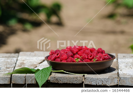 fresh ripe raspberries in clay plate 16344466