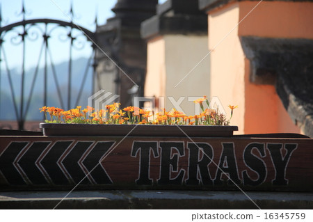 Prague Prague 16345759