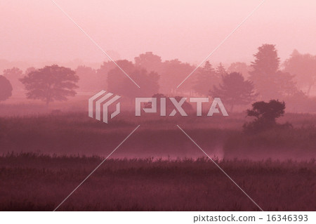 Asagiri的Watarase盆地 16346393