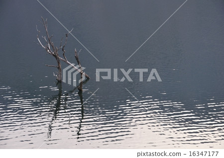 湖景觀 16347177