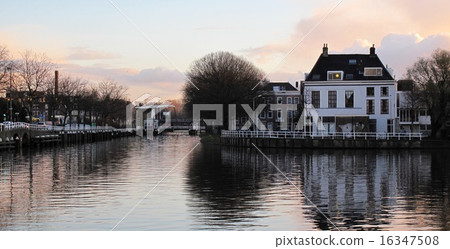 Morning glow 16347508