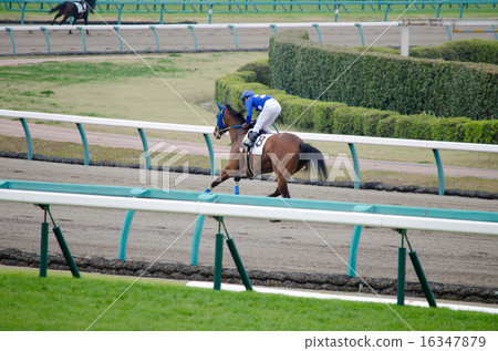 賽馬（飛鏢課程） 16347879