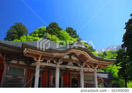 大仙寺 大仙寺 16348080