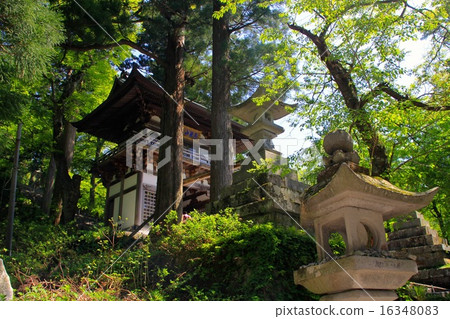 大仙寺 大仙寺 16348083
