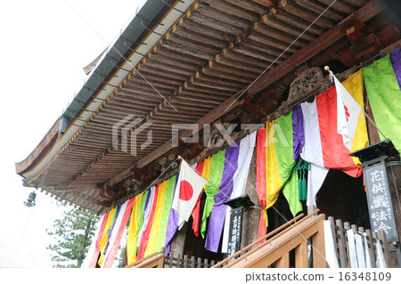 Yoshinozan金黃山寺廟Kurando寺廟在春天 16348109