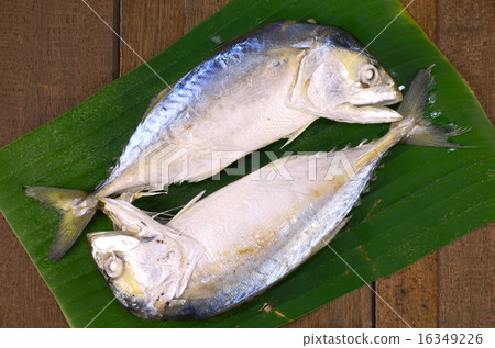 Selected Stemmed Mackerel. Selected Stemmed Mackerel. 16349226