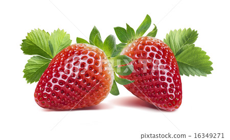Two strawberries with many leaves isolated 16349271