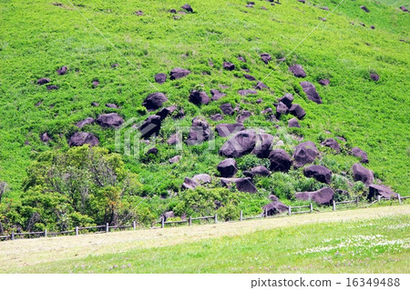 Grassland of Bosan 16349488