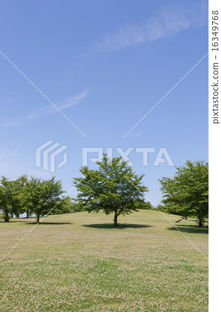 Scenery with a hill 16349768