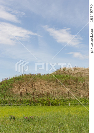 Prairie hill 16349770