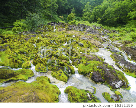 Chatbomb Moss 1 Chatbomb Moss 1 16351199