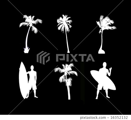 Silhouette of palms and surfer with board 16352132
