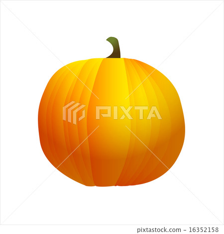 Pumpkin 16352158